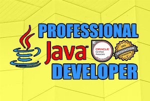 create-java-program-that-will-satisfy-your-requirement_1577973243.png