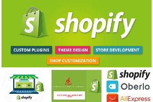 shopify-digizoom-2-2_1571448859.png